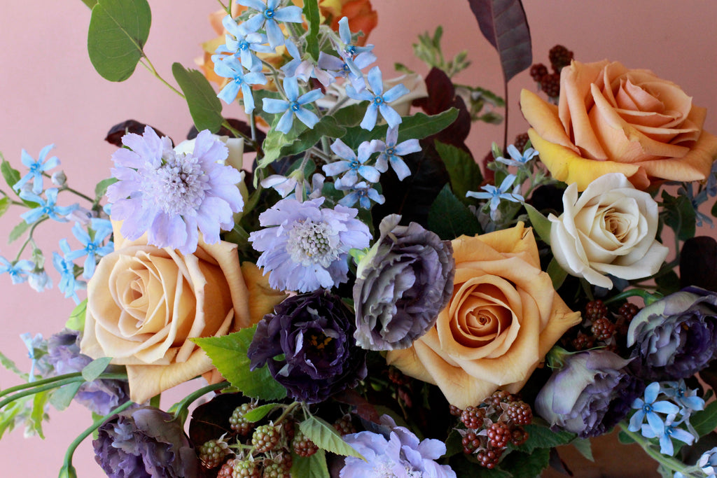 Solabee's Sweet 16: Celebrating 16 Years of Flowers