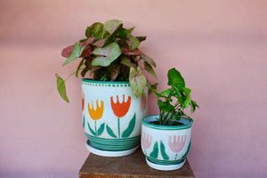 Niko Tulip Planters