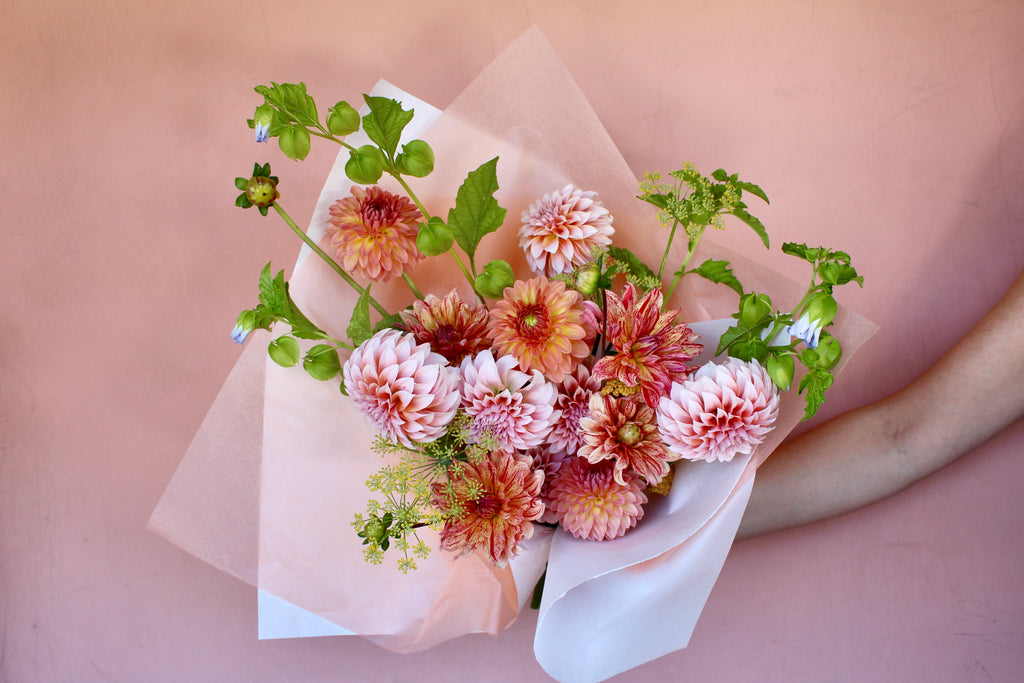 The Local Bunch- Dahlias