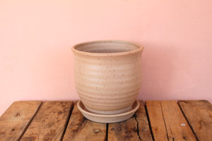 Stephen Moellering Peach