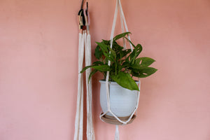 Macrame Hangers by Little Feral