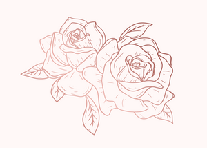 Garden Roses Add-on (6stems)